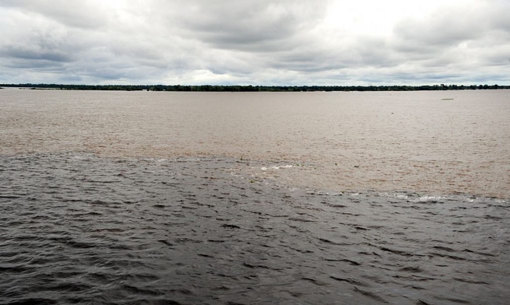 Nível do rio Negro volta a subir em Manaus