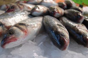 Período do defeso começa no AM; Entenda influência sobre preço do pescado para consumidores