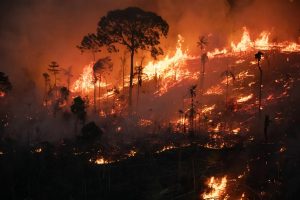 Índice de queimadas no Amazonas em 2022 é o maior dos últimos 24 anos
