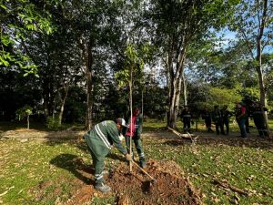 Semmas afirma que vai replantar árvores retiradas no Parque dos Bilhares