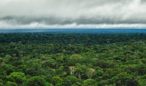 Friagem deve derrubar temperaturas em cidades do Amazonas, alerta Inmet