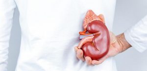 AM realiza primeiro transplante renal pela rede pública de saúde