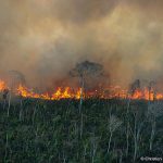 Fumaça de queimadas dificulta visibilidade e navegação no sul do Amazonas