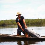 Ibama autoriza pesca de mais de 6 mil pirarucus em Tonantins, no AM